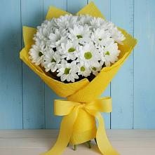 Букет цветов из:  Хризантемы в Красном Яре Астраханской области