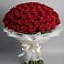 Букет 101 Красная роза Блэк Мэджик в Красном Яре Астраханской области