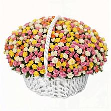 Премиум букет из: Розы в Красном Яре Астраханской области