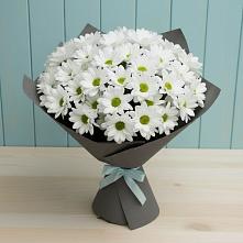 Букет цветов из:  Хризантемы в Красном Яре Астраханской области