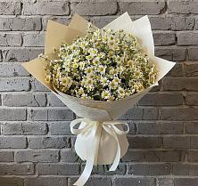 Букет цветов из:  Ромашки в Красном Яре Астраханской области