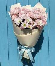 Букет цветов из:  Хризантемы в Красном Яре Астраханской области