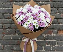 Букет цветов из:  Хризантемы в Красном Яре Астраханской области