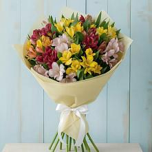 Букет цветов из:  Альстромерии в Красном Яре Астраханской области