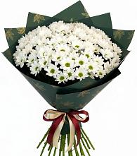 Букет цветов из:  Хризантемы в Красном Яре Астраханской области