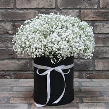 Цветочная композиция из Гипсофила в шляпной коробке в Красном Яре Астраханской области