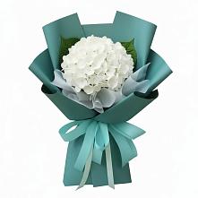 Букет цветов из:  Гортензия в Красном Яре Астраханской области